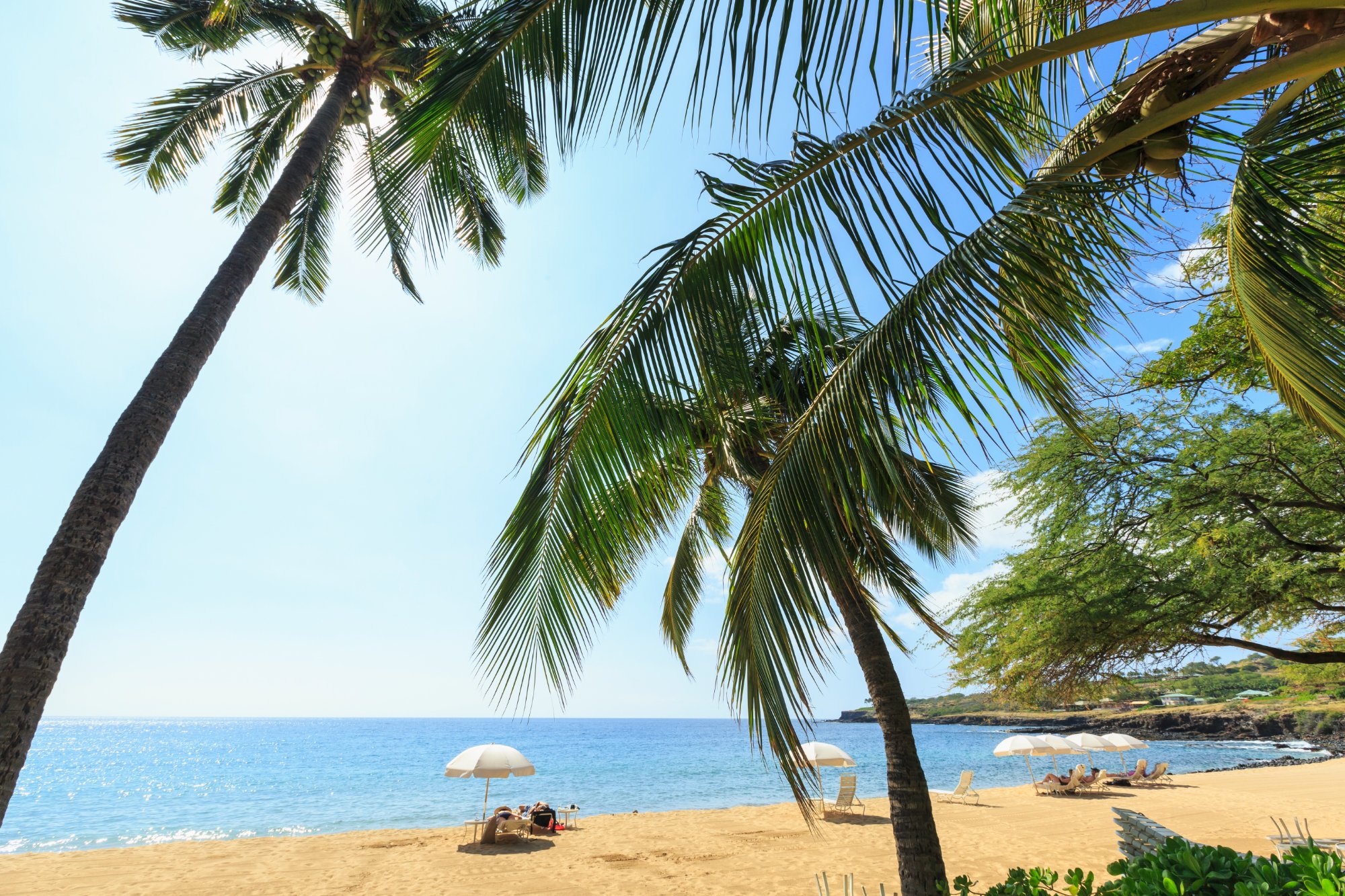 Restored vitality — NAD+ Therapy Hawaii
